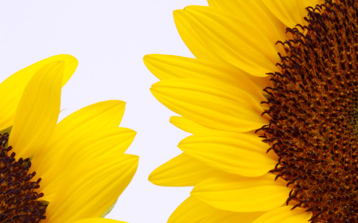 456454 (a): :1920x1200